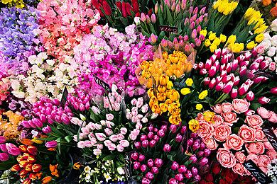 卖疯了！Switch 2美国首周销量超110万台