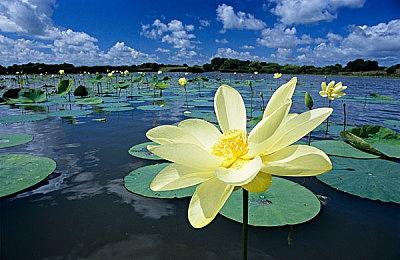《最终幻想》设计师称蒂法的魅力不仅在外表 性格也重要